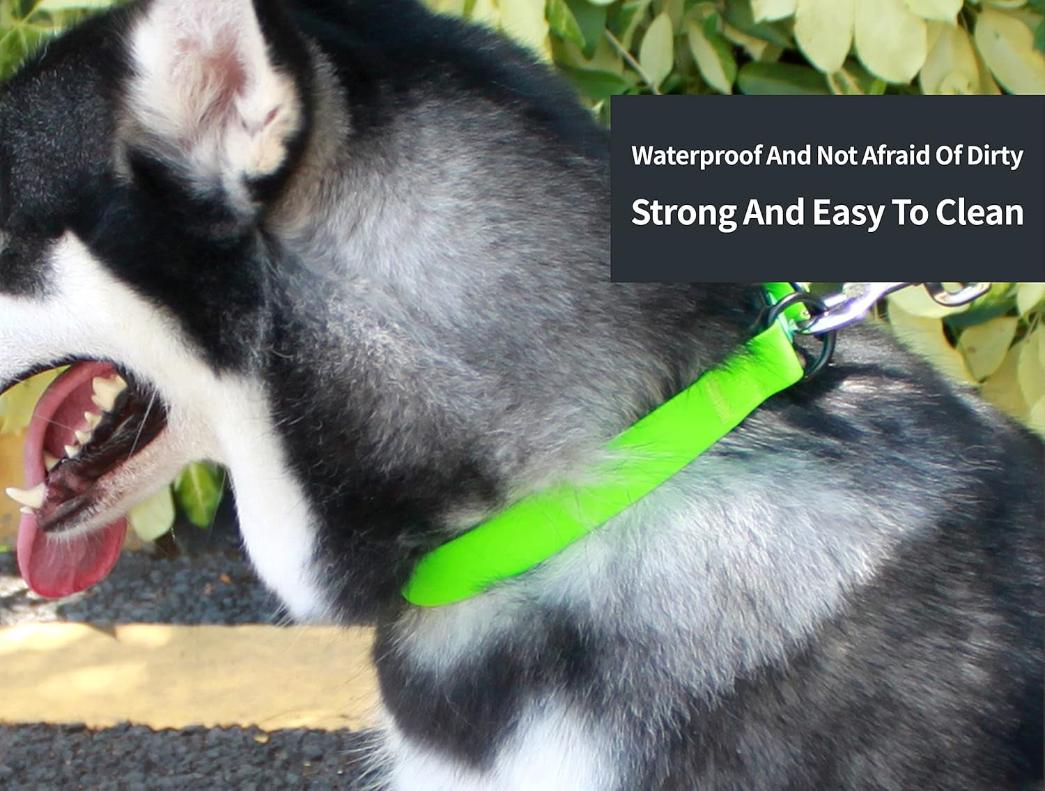Waterproof Dog Collars,Easy Clean Collar,Adjustable Dog Collars for Small,Medium, Large Dogs (Green, S)