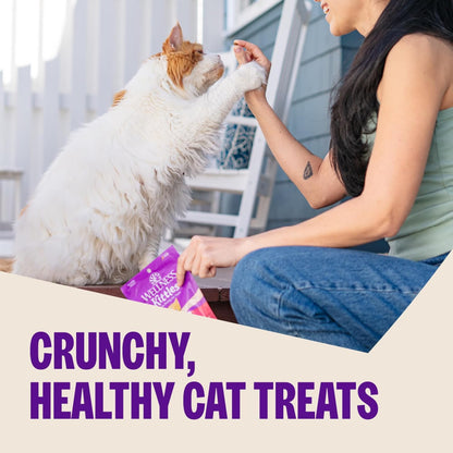 Kittles Crunchy Cat Treats, All Lifestages, Kitten to Senior, Natural, Grain Free, Chicken and Cranberry Flavor, 2 Oz Bag