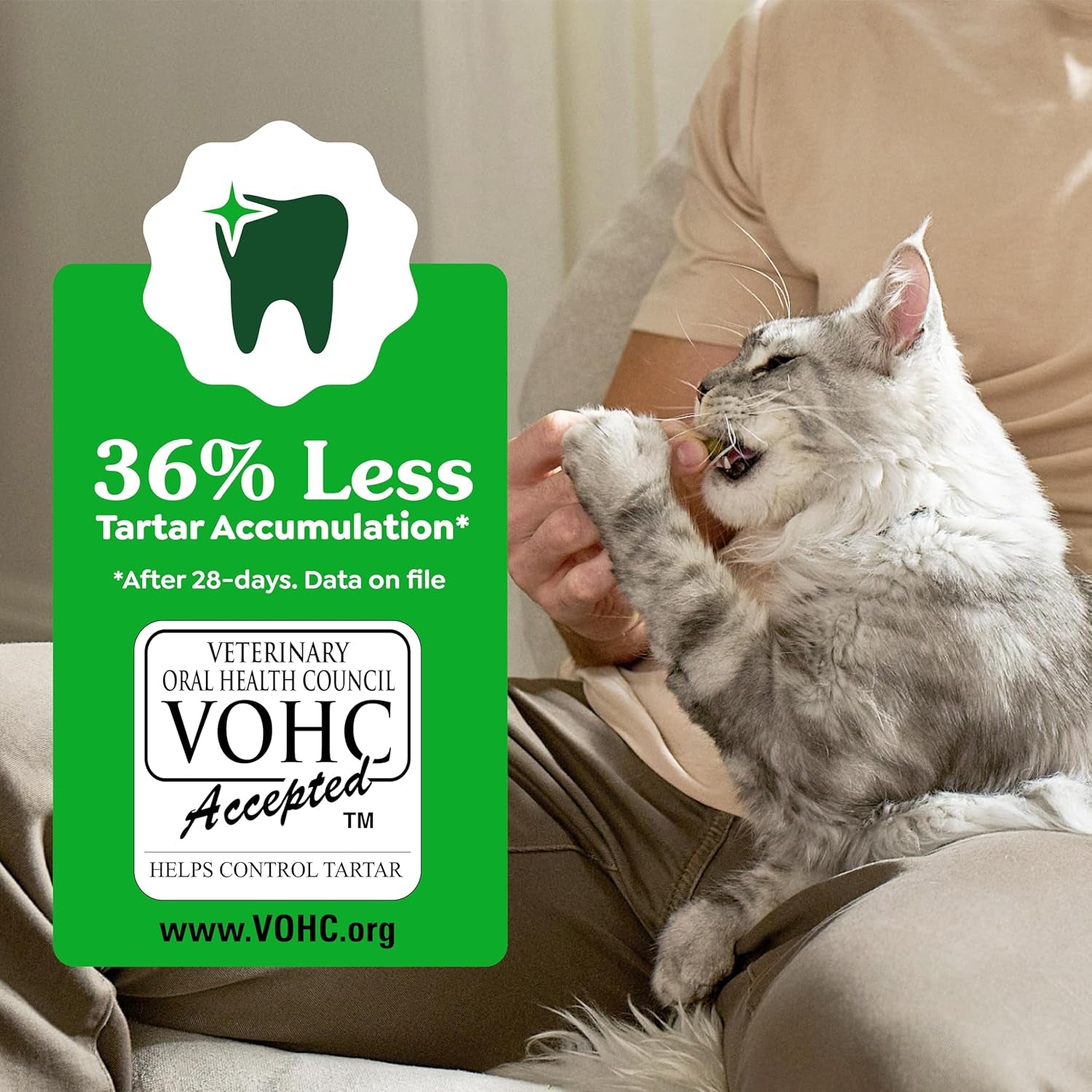 Greenies Cat Treats, Veterinarian-Recommended Adult Natural Dental Cat Treats, Tempting Tuna Flavor, 9.75 Oz. Tub