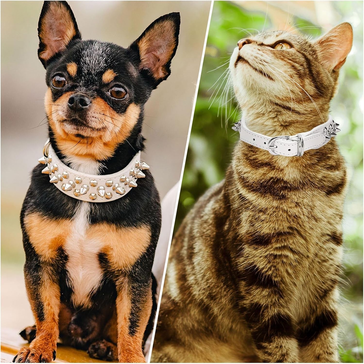 Small Spiked Dog Cat Collar for Small Medium Dogs Boy Male Female - Adjustable Studded Puppy Collars - Soft Padded Punk Leather Dog Collar for Chihuahua French Bulldog Pug (White,Xs)