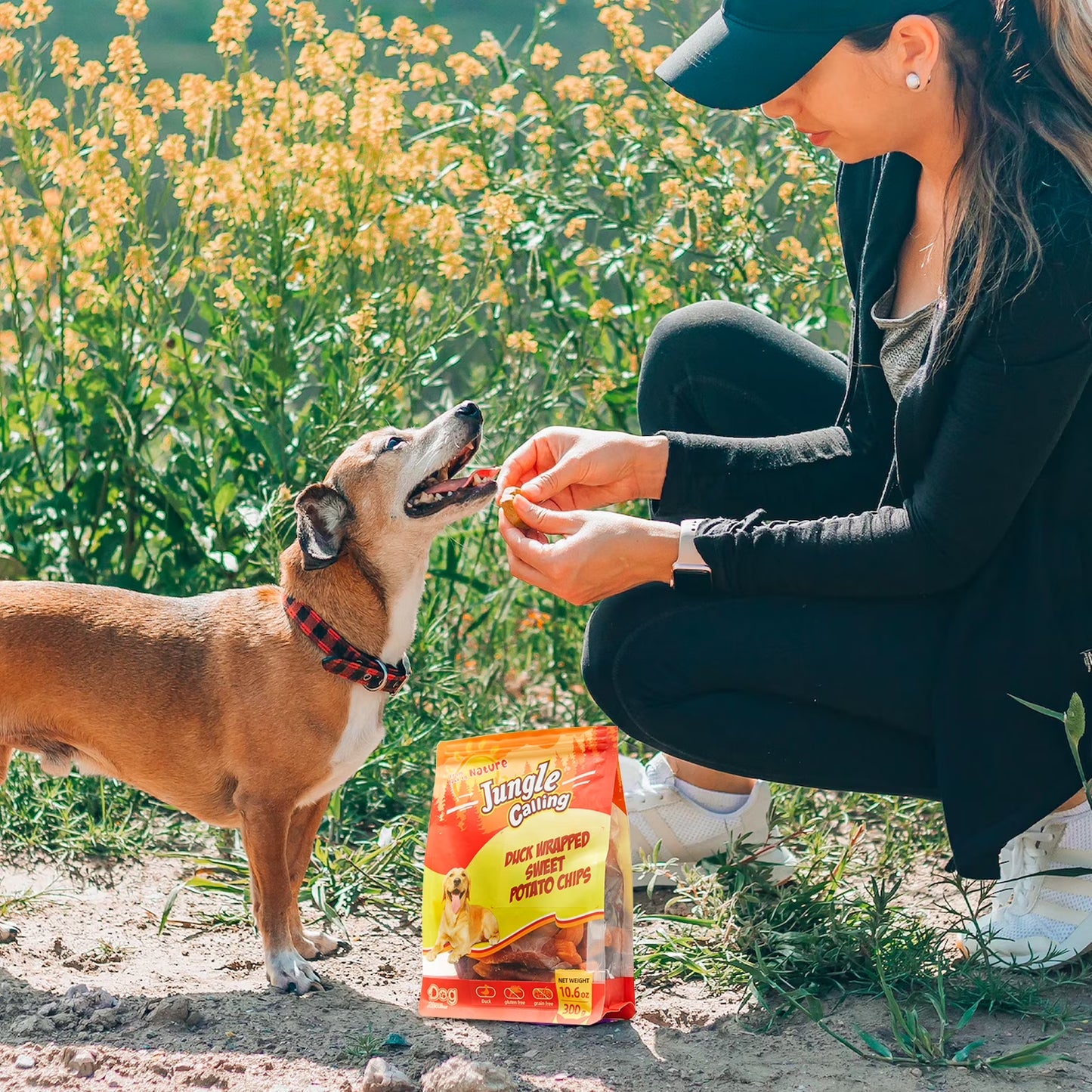 Duck & Sweet Potato Dog Treats, Healthy Nutritious Snacks Chewy for All Dogs, 10.6 Oz