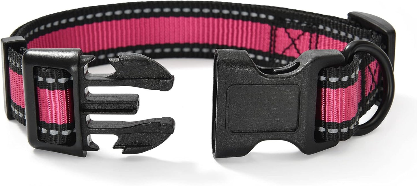 Dog Collar | Reflective 3M Stripe with Nylon Band (Blue/Pink, Medium (Pack of 2))