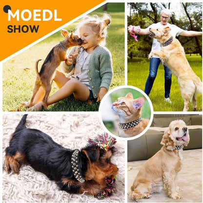 Spiked Dog Collar Black Soft Pu Leather Funny Mushrooms Rivet Spike Studded Puppy Collar Adjustable Outdoor Pet Dog Collar for Small Medium Large Dogs Cats Chihuahua Pug Pit Bull Dog Collars
