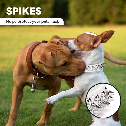 Small Spiked Dog Cat Collar for Small Medium Dogs Boy Male Female - Adjustable Studded Puppy Collars - Soft Padded Punk Leather Dog Collar for Chihuahua French Bulldog Pug (White,Xs)