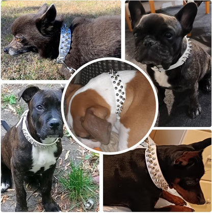 Small Spiked Dog Cat Collar for Small Medium Dogs Boy Male Female - Adjustable Studded Puppy Collars - Soft Padded Punk Leather Dog Collar for Chihuahua French Bulldog Pug (White,Xs)